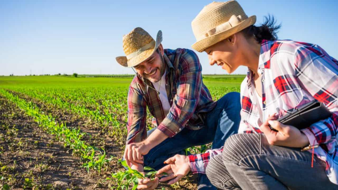 Sistema de cadastro da agricultura familiar migrará do DAP para o CAF.