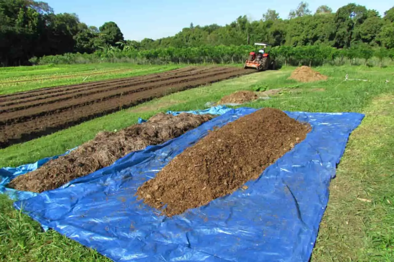 fertilizantes