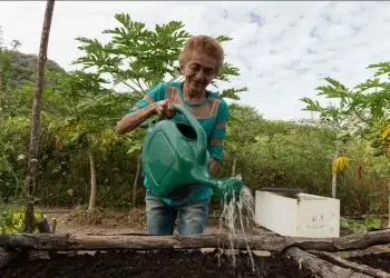 agricultores familiares