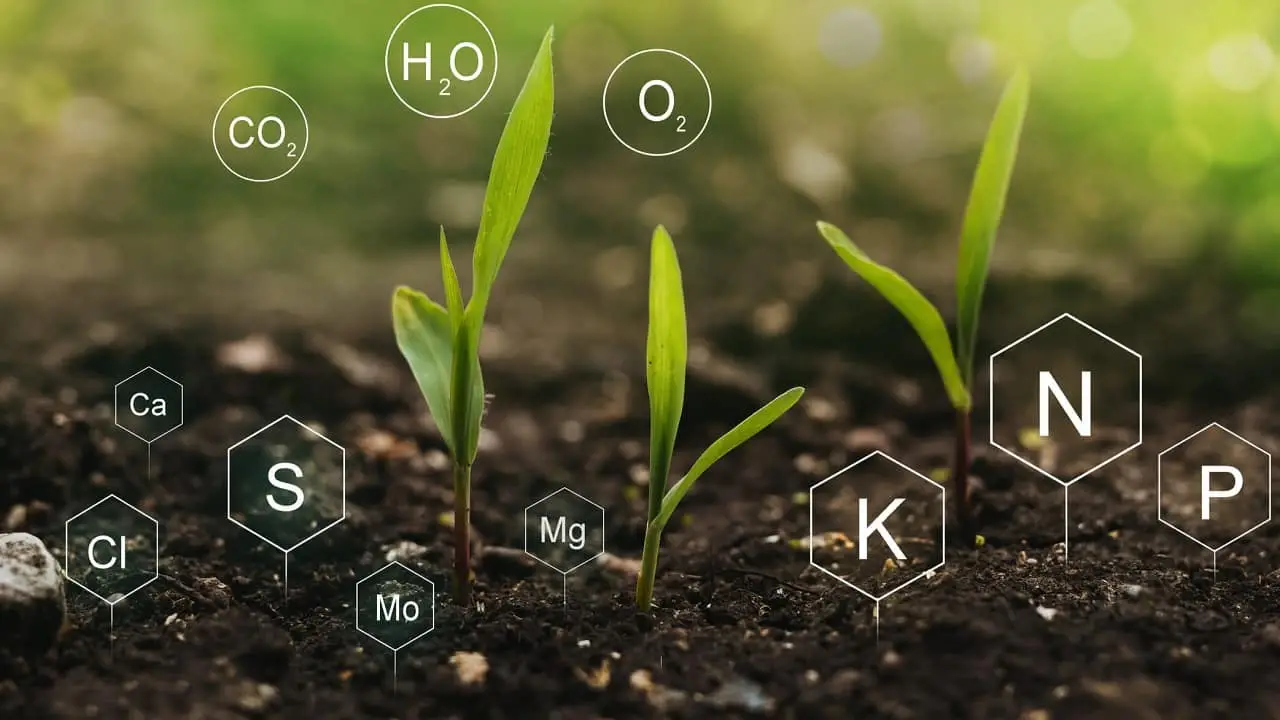 Brasil importa mais de 80% dos fertilizantes que consome na agricultura.