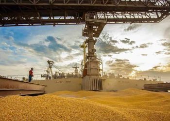 Brasil pode se tornar o maior exportador mundial de milho nesta safra 2022/23.