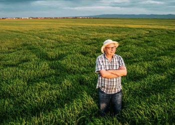 dia nacional da agricultura