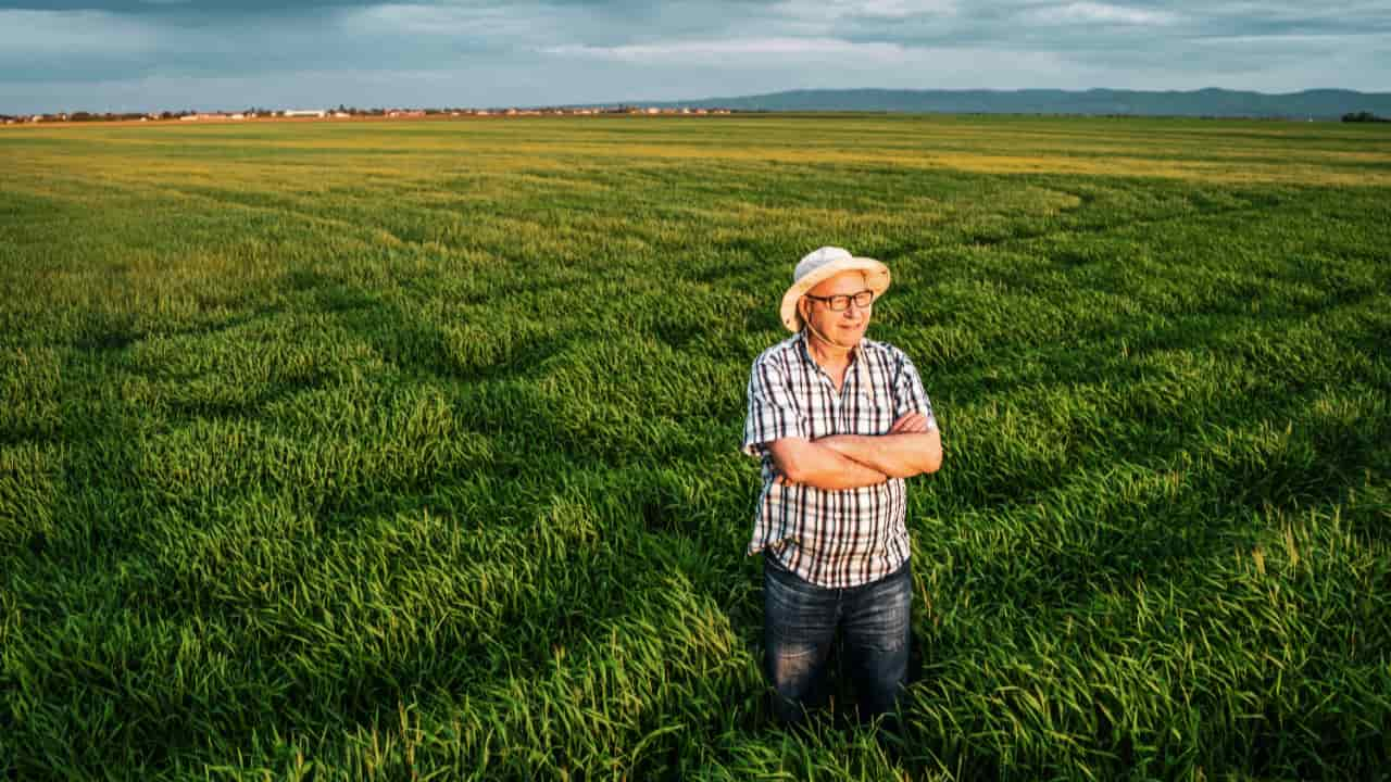 Dia Mundial Da Agricultura Uma Atividade Que Alimenta O Mundo