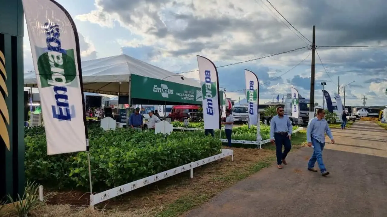 Embrapa apresenta outras cultivares de soja durante a Tecnoshow Comigo 2023. 