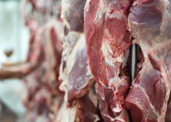 Exportação de carne bovina para a China foi retomada após a suspensão do embargo. Foto: Freepik/ Divulgação