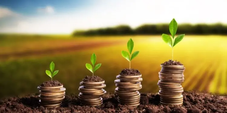 GoiásFomento divulga linhas de crédito rural nesta semana, na Ceasa em Goiânia 1 GoiásFomento divulga linhas de crédito rural nesta semana, na Ceasa em Goiânia.