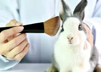 uso de animais em testes