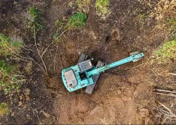 infrações ambientais