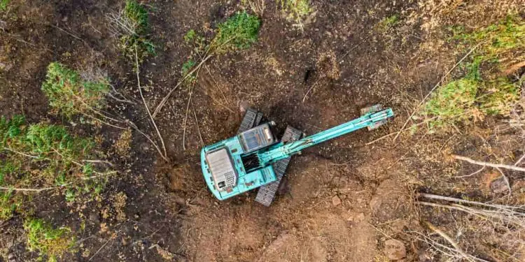 Governo quer reverter nulidade de infrações ambientais e cobrar R$ 29 bi em multas 1 infrações ambientais