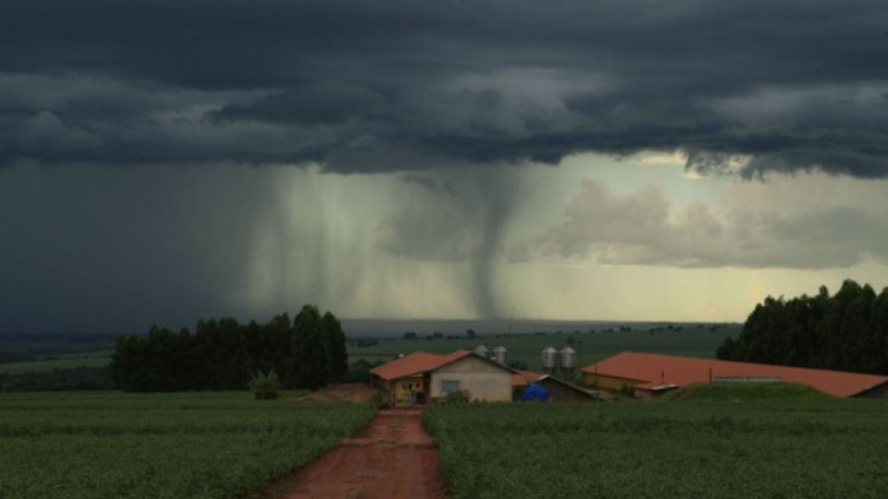 Inmet aponta que até o final de março são esperados grandes volumes de chuva em boa parte do Brasil. 