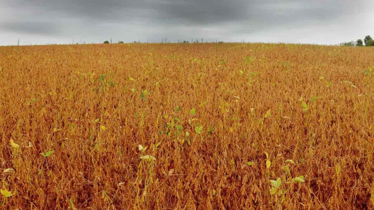 Inmet prevê chuvas abaixo da média no Sul do país, ainda reflexo do fenômeno La Niña.