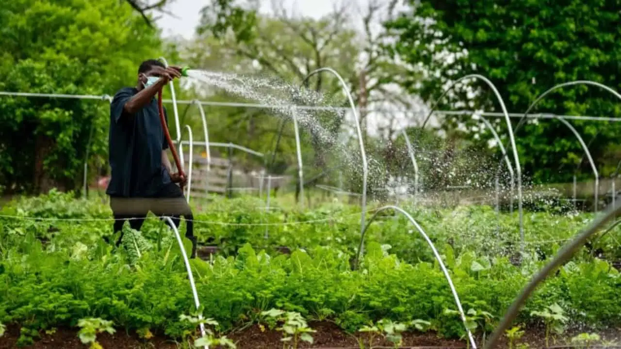 MDA quer lançar projeto baseado na agroecologia junto ao Plano Safra em maio. 