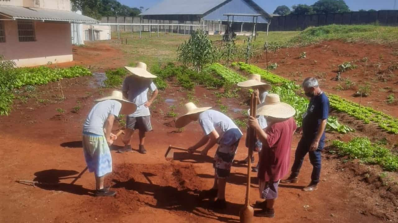 Ministrado pelo agrônomo Jean Louis, o curso ensina o cultivo de verduras e legumes, do preparo do solo, manejo, colheita até processamento e comercialização.