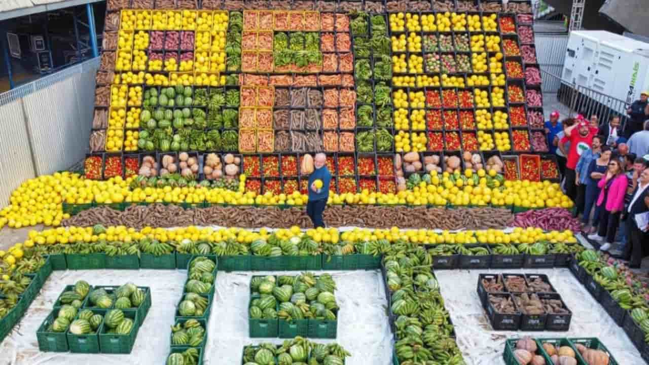 Programa De Aquisição De Alimentos é Retomado Para Fortalecer Agricultura Familiar 9433