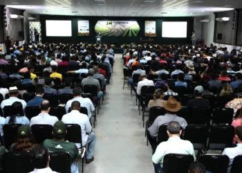 Tecnoshow 2023: mais de 100 palestras sobre agropecuária serão ministradas.