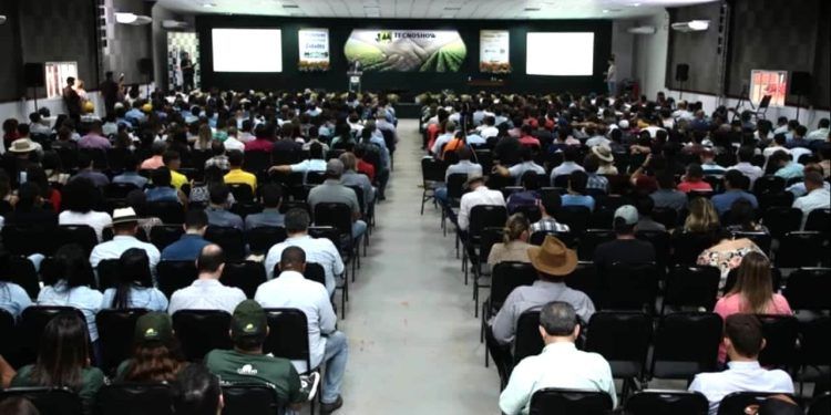 Tecnoshow 2023: mais de 100 palestras sobre agropecuária serão ministradas.