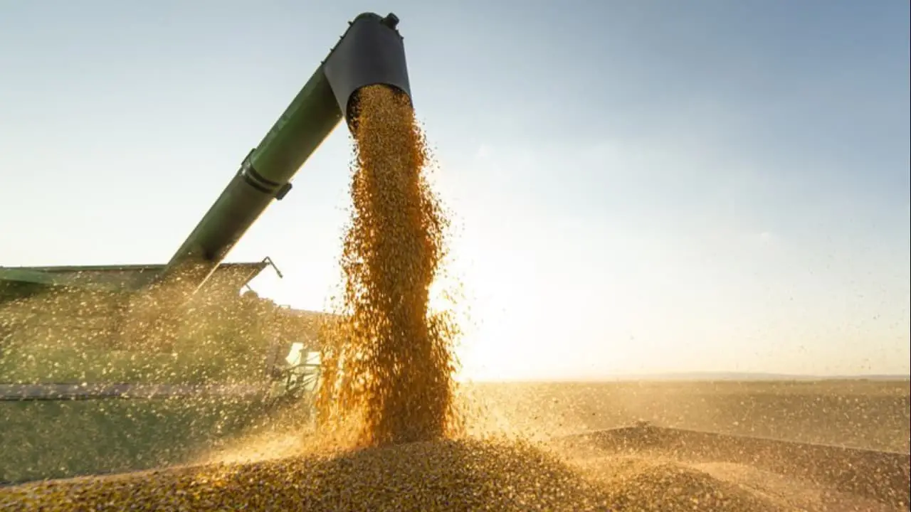 agropecuária