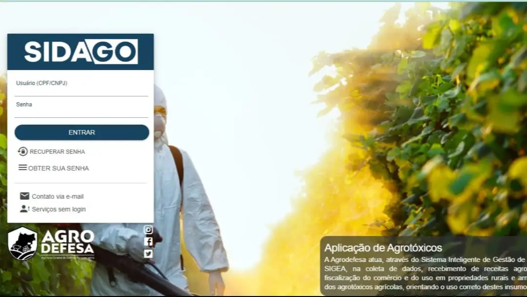 Cadastro das lavouras de girassol é obrigatório no Sistema de Defesa Agropecuária (Sidago).