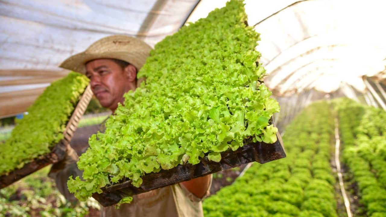 Capacitação é para produtores, trabalhadores ou quem quer investir em negócios na agropecuária.