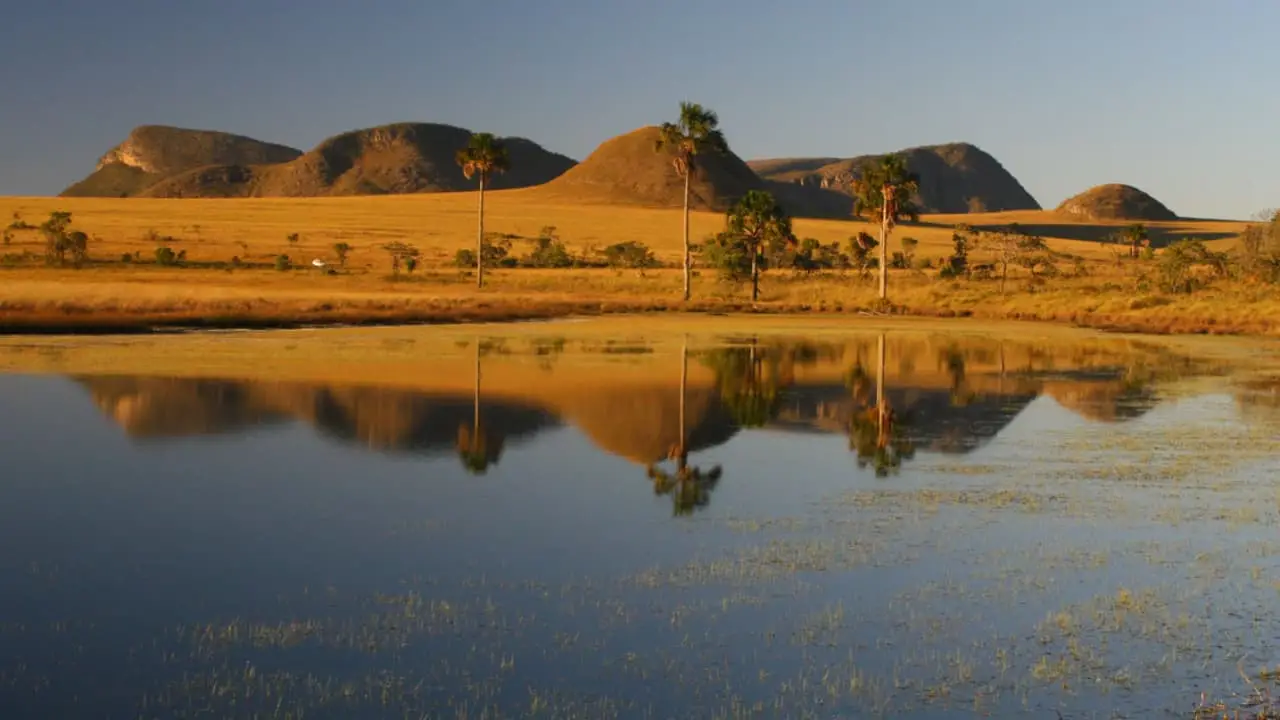 Rios do Cerrado podem perder quase 34% da água até 2050, aponta estudo 2 agropecuária