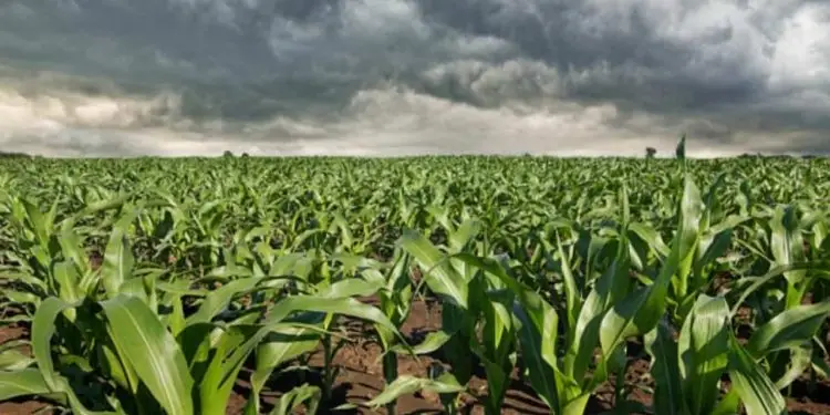 Chuvas acima da média são previstas para o Centro-Oeste neste trimestre 1 Chuvas acima da média são previstas para o Centro-Oeste neste trimestre.