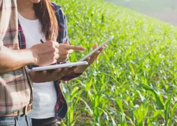Cursos técnicos do agronegócio serão ministrados na Pecuária de Goiânia.
