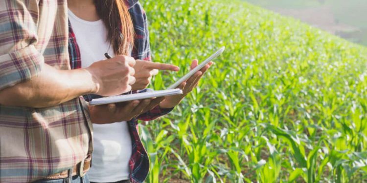 Cursos técnicos do agronegócio serão ministrados na Pecuária de Goiânia.