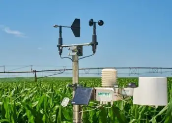 Dia Mundial da Água: uso da tecnologia na agropecuária economiza recursos.