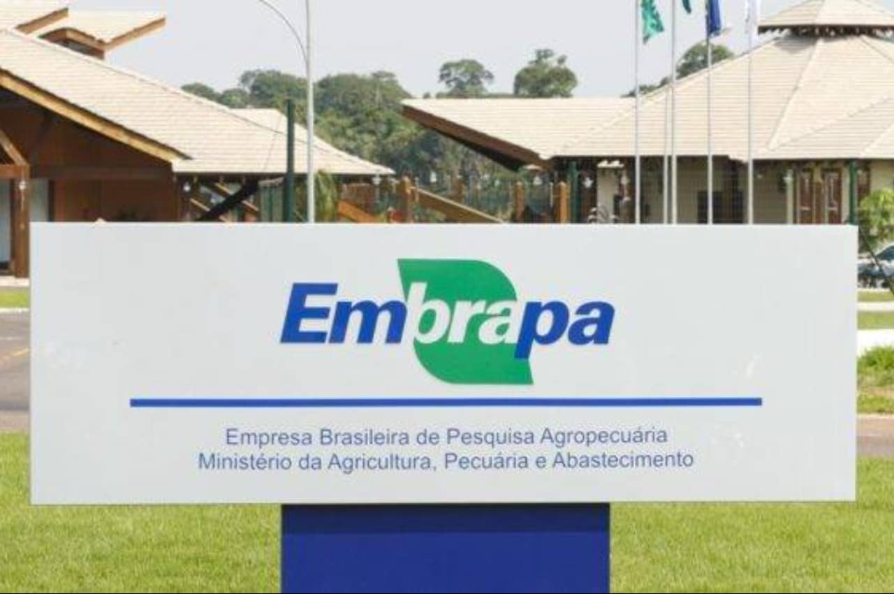 Embrapa