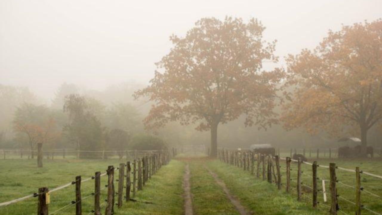 Estação que começa na segunda-feira (20/3) vai até 21 de junho no Brasil. 