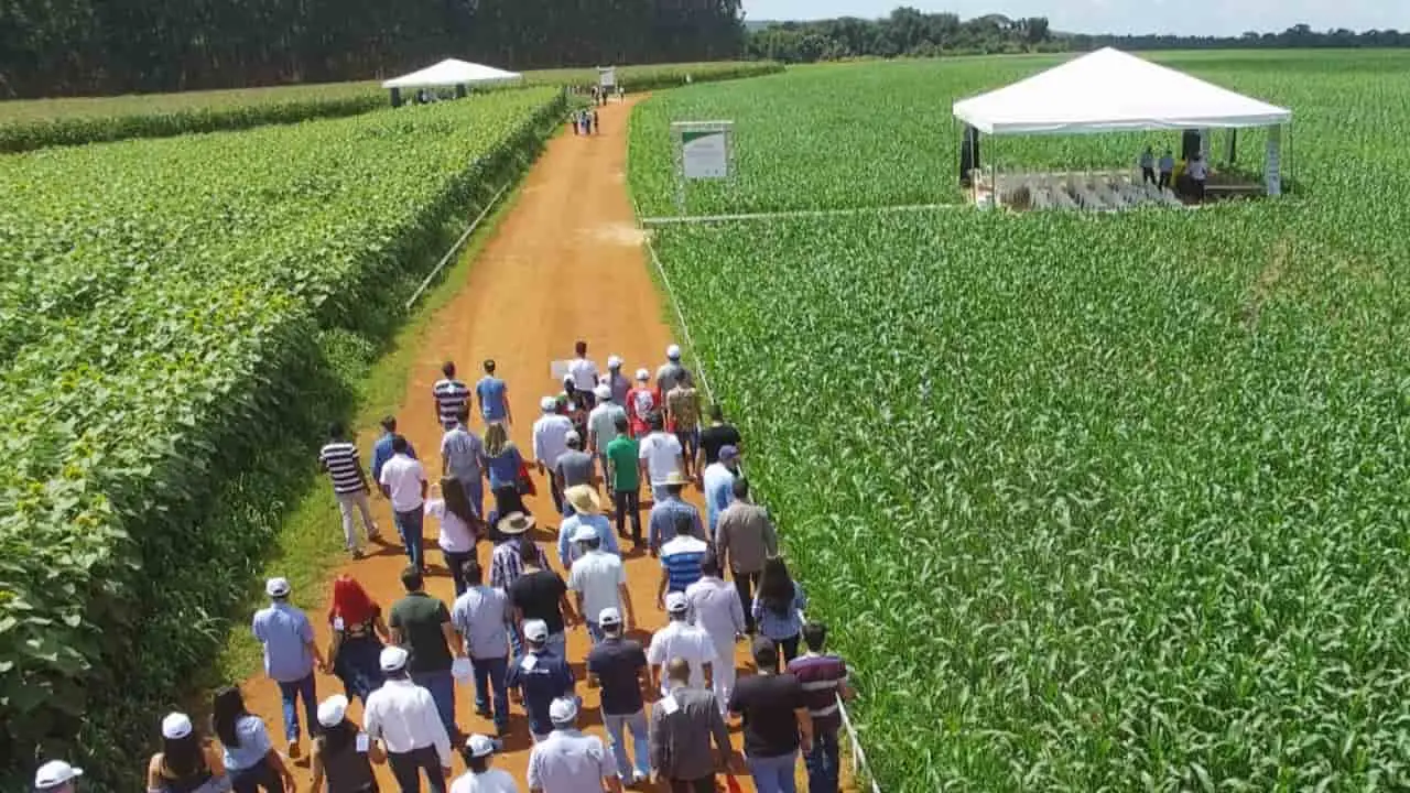 Evento é promovido pela Associação Rede ILPF uma parceria público-privada; inscrição pode ser feita presencial. 