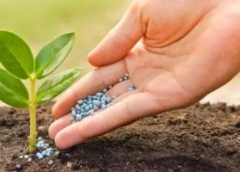 Importação brasileira de fertilizantes recua 10% no Brasil em 2022.