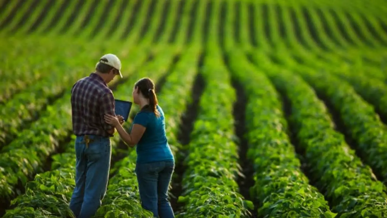 Objetivo é capacitar produtores e profissionais com cursos do agronegócio