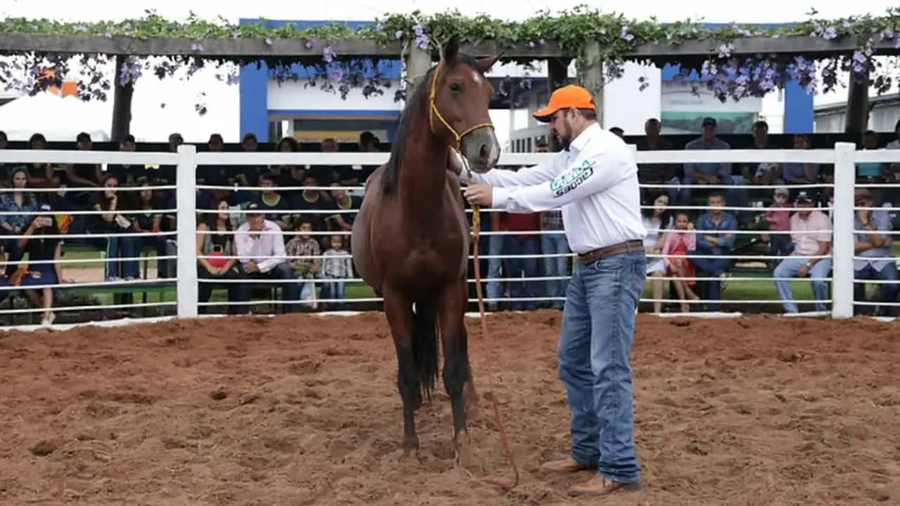 Palestras trarão assuntos como agricultura, pecuária, política, economia, tecnologia e sustentabilidade. 