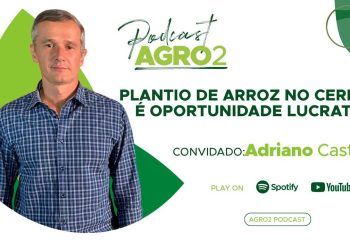 Podcast Agro2: cultivo de arroz é opção lucrativa integrada à outras culturas de grãos.