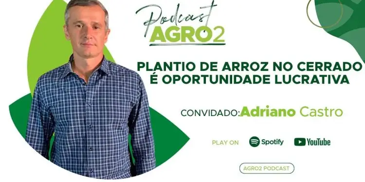 Podcast Agro2: cultivo de arroz é opção lucrativa integrada à outras culturas de grãos.