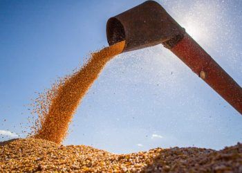 Produção de grãos brasileira deve chegar a 309,9 milhões de toneladas.