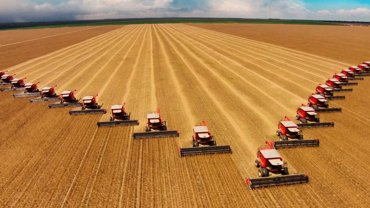 Produtividade das lavouras e preços agrícolas puxaram a estimativa de crescimento.