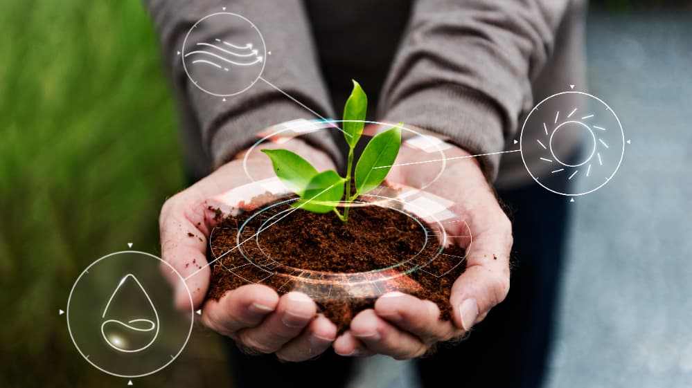 programa da Microsoft para o agro