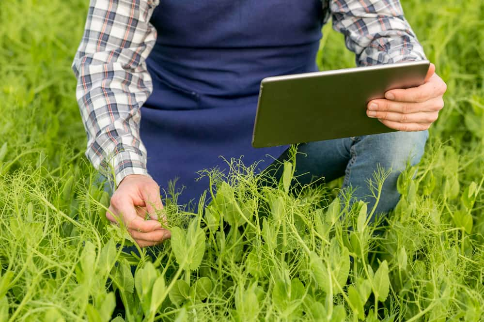 tecnologia no campo