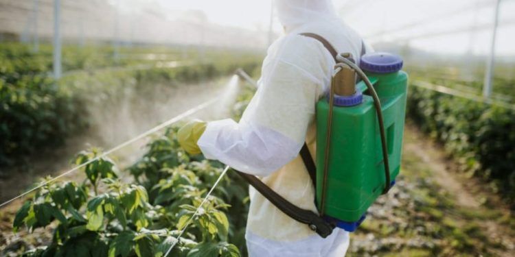 Projeto obriga empresas de defensivos a custear cursos de uso correto dos produtos.