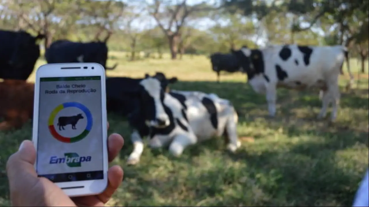 Embrapa lança app que integra dados sobre desenvolvimento do rebanho leiteiro 3 aplicativo