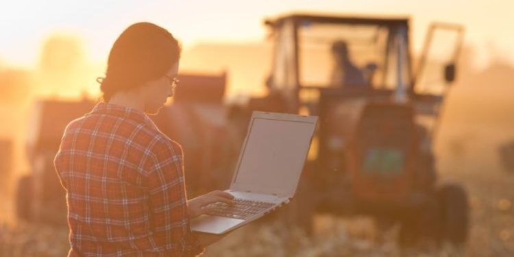 Um milhão de mulheres lideram propriedades do agronegócio no Brasil.