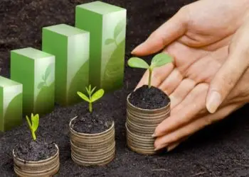 Valor da Produção Agropecuária brasileira pode alcançar maior patamar em 34 anos.