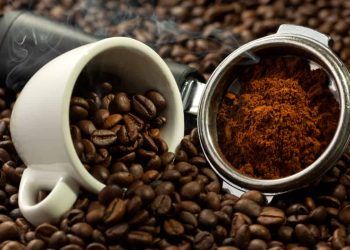 Brasil lidera produção mundial de café: veja os benefícios da bebida para a saúde