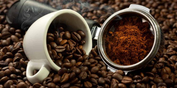Brasil lidera produção mundial de café: veja os benefícios da bebida para a saúde