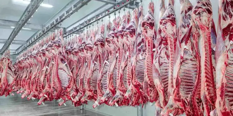 Brasil retomará exportação de carne bovina à Rússia após liberação de embargo 1 Brasil retomará exportação de carne bovina à Rússia após liberação de embargo.