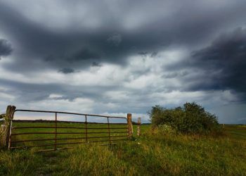 El Niño deve chegar ao Brasil nos próximos meses.