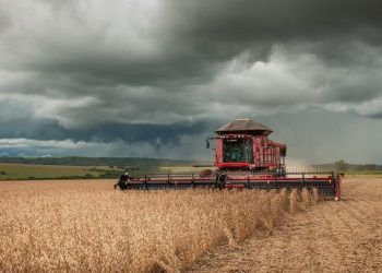 FCO Rural: R$ 16,8 milhões em financiamentos são aprovados em Goiás.