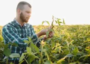 Goiás é o estado que mais gerou empregos no agronegócio do Centro-Oeste.